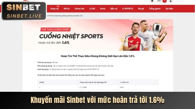 Cá cược Thể Thao